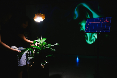 Installation Plant being